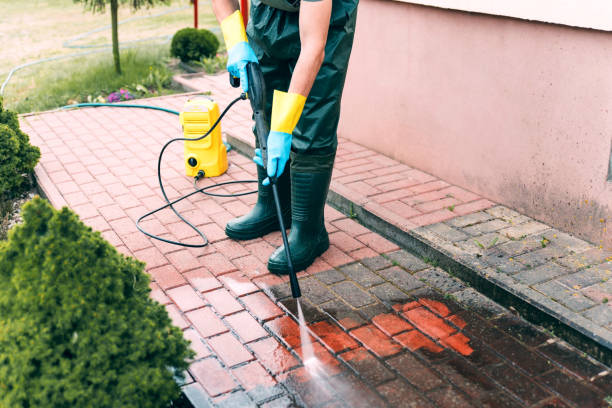 Deck Cleaning Services in Danvers, IL