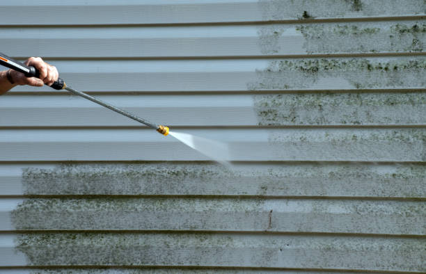 Best Affordable Power Washing  in Danvers, IL