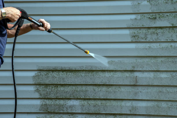 Best Best Pressure Washing Companies  in Danvers, IL