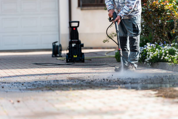 Best Roof Power Washing Services  in Danvers, IL