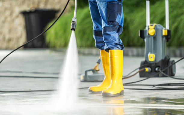 Best Roof Power Washing Services  in Danvers, IL