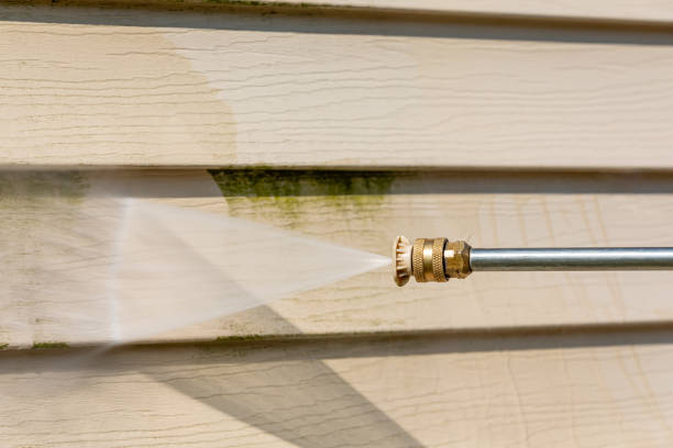 Best Local Pressure Washing Services  in Danvers, IL