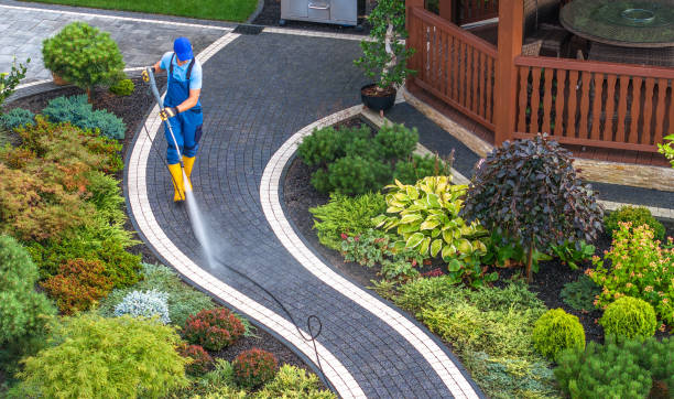 Best Local Pressure Washing Services  in Danvers, IL
